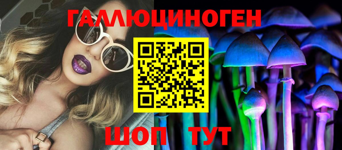 Астрахань  Псилоцибиновые грибы GOLDEN TEACHER  купить наркоту  Вход с VPN 