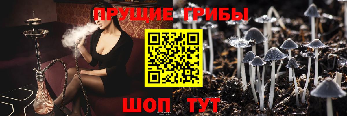 Галлюциногенные грибы GOLDEN TEACHER Астрахань