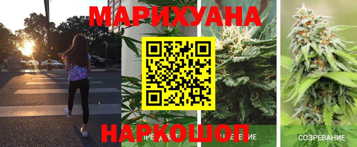 Конопля индика  МАРИХУАНА сатива  Астрахань  Канабис OG Kush  Вход с VPN  Бошки Шишки конопля 
